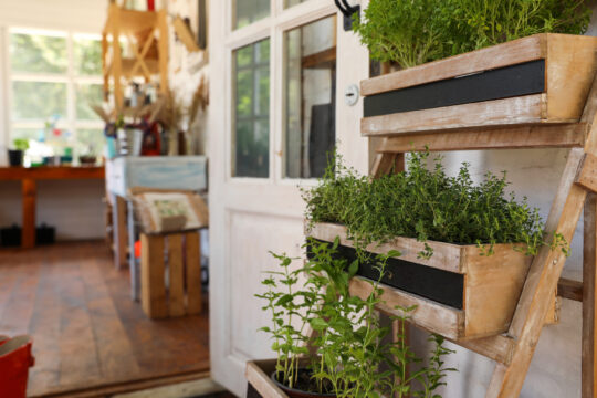 2-Hour DIY Herb Garden Wall Planter