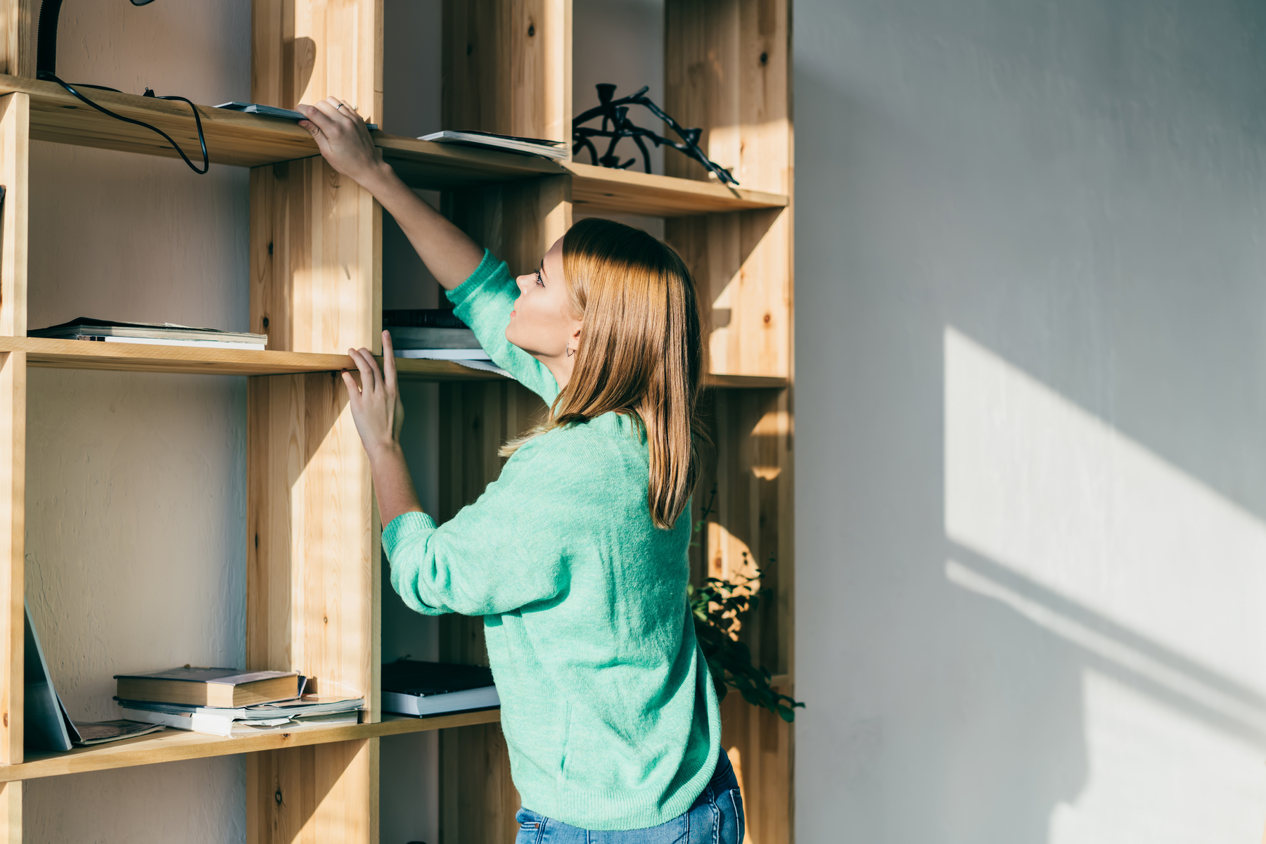 Homemade Bookcases