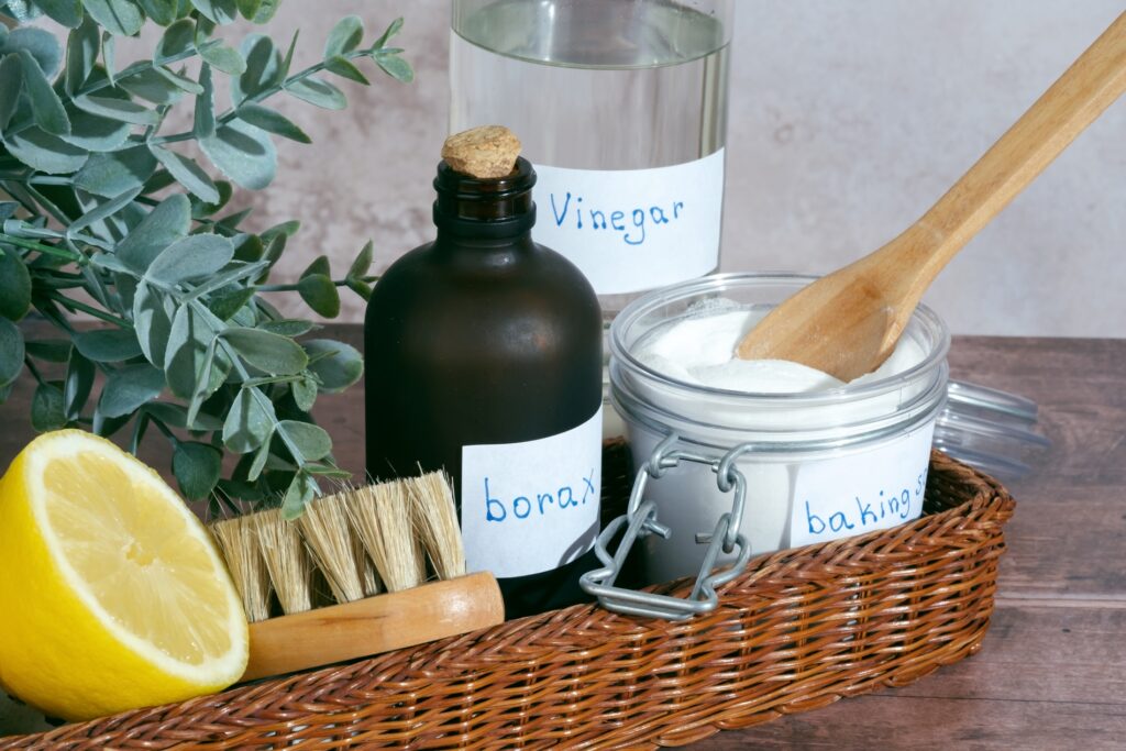 carpet cleaning essentials  