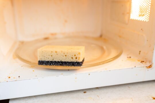 5 Minute Microwave Cleaning Hack