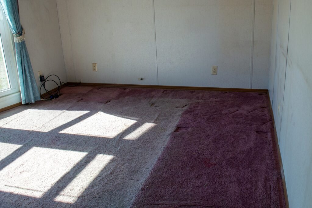 dirty carpet