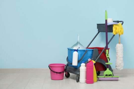 Speed Clean Secrets for a Tidy Home by Organizing Your Cleaning Supplies