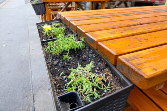 Modular Wooden Planter Box