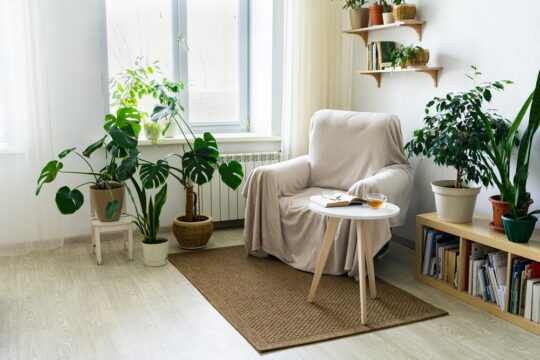 Create a Cozy Reading Corner at Home