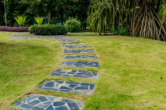 Stone garden path