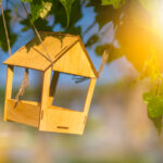 The 2-Hour Popsicle Stick Bird Feeder DIY