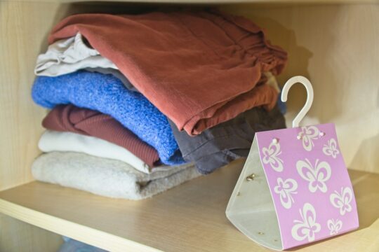 Closet Guardians That Keep Moths Away for Good