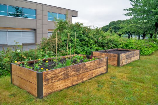 Build A Raised Garden Bed From Timber