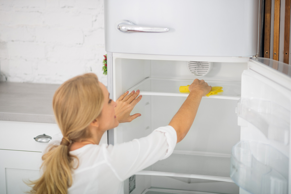 Say Goodbye to Fridge Odors for Good